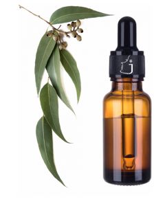 Eucalyptus Essential Oil